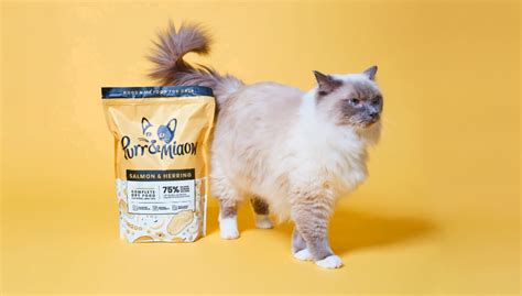 Can I Buy Cat Food with EBT? Exploring the Intersection of Nutrition, Policy, and Pet Ownership