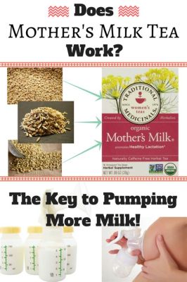 How Long Does It Take for Mother's Milk Tea to Work: A Journey Through Time and Taste