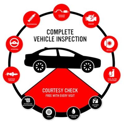 How Long Does It Take to Get Car Inspected: And Why Do Cats Always Sit on Inspection Reports?