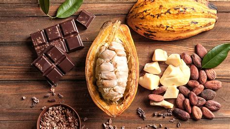 How to Eat Cacao Fruit: A Journey Through Flavor, Culture, and Creativity