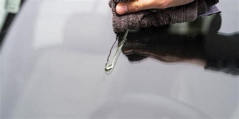 How to Get Sap Off Car Windshield: A Sticky Situation with a Twist of Lemon