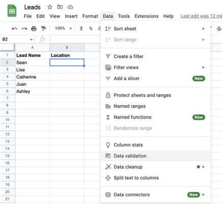 How to Make Drop Down Menu in Google Sheets: A Journey Through Data Organization and Creative Chaos