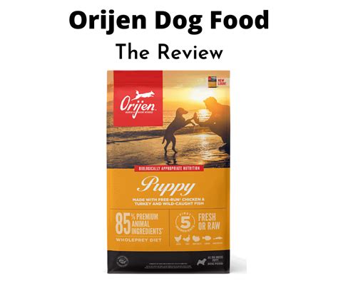 Is Orijen Dog Food Good? Exploring the Myths and Realities of Canine Nutrition