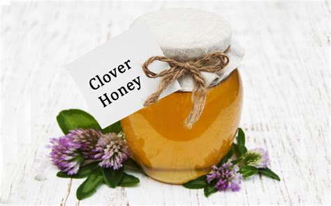 What Does Clover Honey Taste Like: A Journey Through Flavor and Imagination