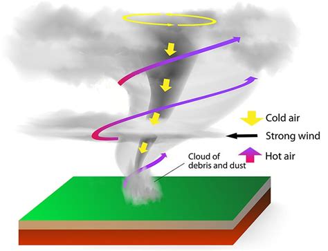 What is a Tornado Food? And Why Does It Spin Faster Than a Salad Spinner?