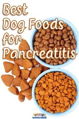 What is the Best Low Fat Dog Food for Pancreatitis: A Comprehensive Guide to Managing Your Dog's Health