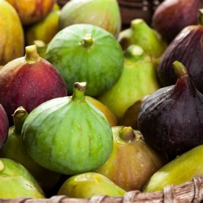 When Do Figs Produce Fruit: A Journey Through Time and Taste